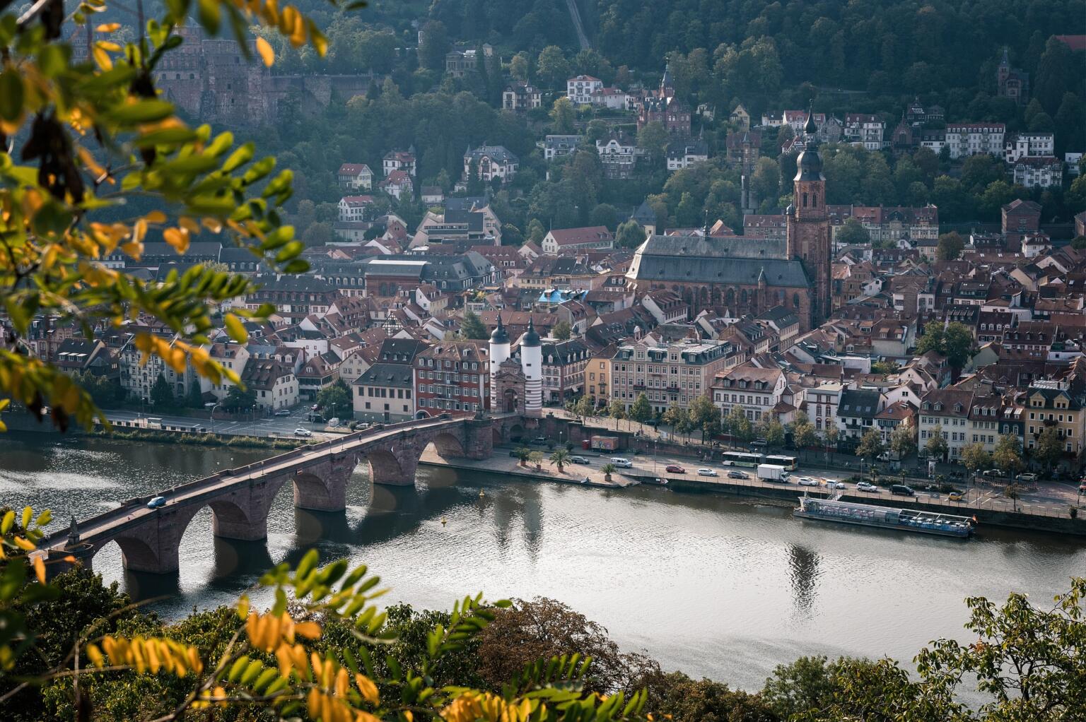 Blick über die Dächer der Heidelberger Altstadt